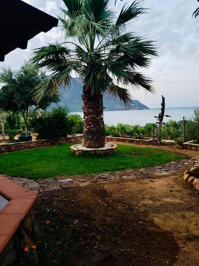 Ferienwohnung Il Bacio Del Sole Tertenìa Exterior foto